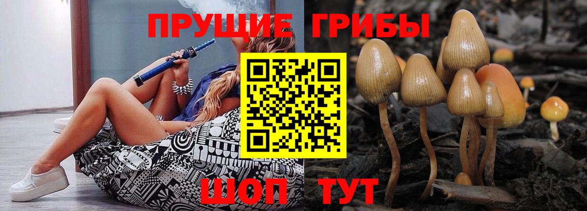 Псилоцибиновые грибы GOLDEN TEACHER  Вход с VPN  Гуково 